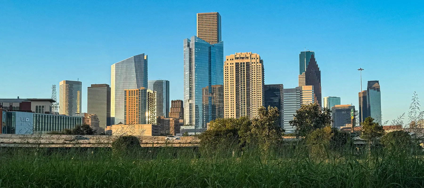 A city skyline with modern glass and tall office buildings under a clear blue sky, seen from behind a patch of tall green grass and trees.